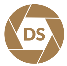 Downsampling Logo